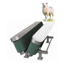 Sheep Slaughter Equipment/Automatic Slaughter Line/Can Be Customized